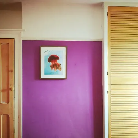 Fernleigh Homestay 홈스테이 *
