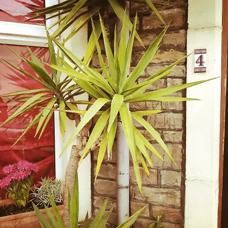 Fernleigh Homestay Pansiyon *